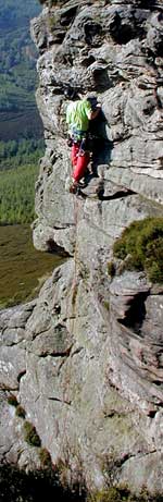 Worrisome Wasp, Coe Crag