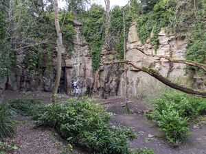 Jesmond Dene Quarry.jpg